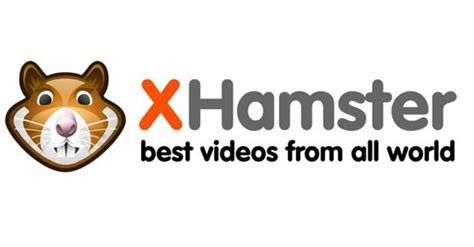 x hamster porn|Newest Porn Videos & Free Sex Movies